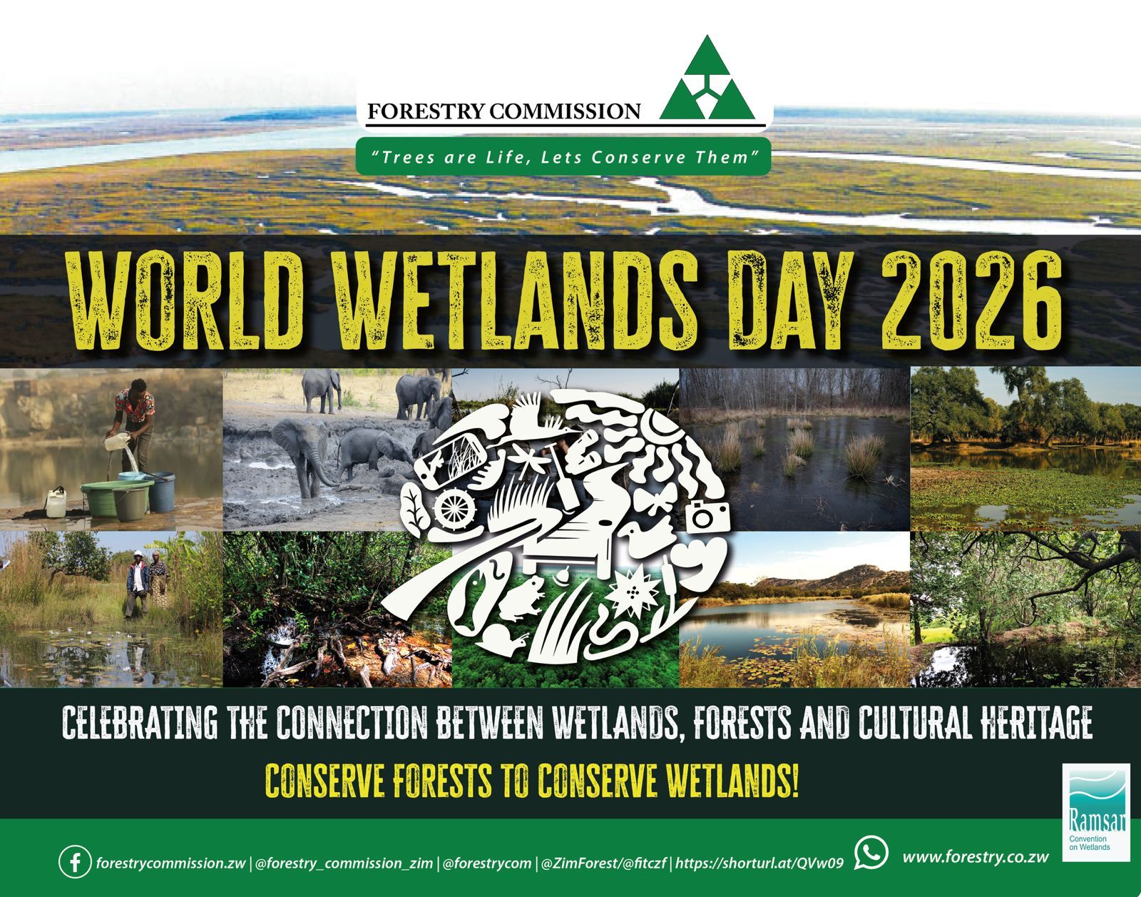 Forest Commission Marks World Wetlands Day - Ziyah News Network