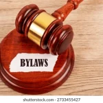 Municipal Police to Take By-law Offenders to Court