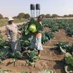 BB West MP Ndou Commends Shashe Village Business Unit