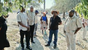 MoB Moves to Overhaul Dulibadzimu Sewer Network