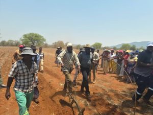 Beitbridge Farmers Urged to Prioritise Small Grains Amid El Niño Threat